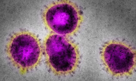 Koronavírus: Lehetséges oltóanyagot készített egy amerikai cég