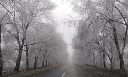 Továbbra is sűrű köd nehezíti a közlekedést Vajdaságban