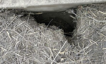 Újabb alagutat fedeztek fel a rendőrök Bács-Kiskun megyében (Fotók)