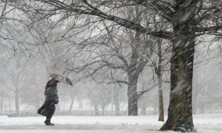 Horvátországban és Szlovéniában is komoly közlekedési fennakadásokat okozott a hóesés