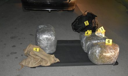 Húsz kiló marihuánát és öt pisztolyt találtak egy újvidéki férfi gépkocsijában