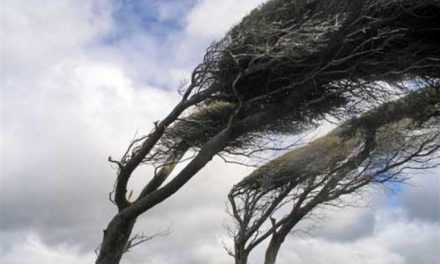 Viharos szélre figyelmeztetnek a meteorológusok