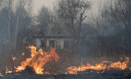 Több hét után sikerült eloltani a csernobili erdőtüzet
