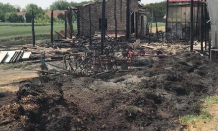 Apatin: Leégett egy családi vállalkozás összes épülete