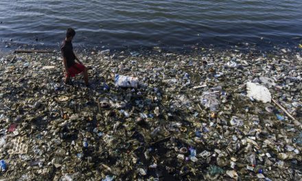 Sosem látott mennyiségű műanyag hulladék árasztotta el a Földet