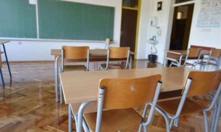 Szerb nyelvi tanfolyamot szervez leendő egyetemistáknak az MNT