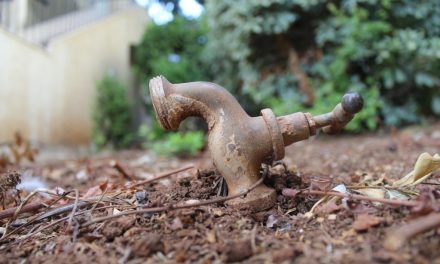 Tizennégy vajdasági településen száz százalékban rossz a vezetékes víz