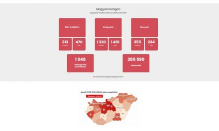 Koronavírus: Kilenccel nőtt az igazolt fertőzöttek száma Magyarországon