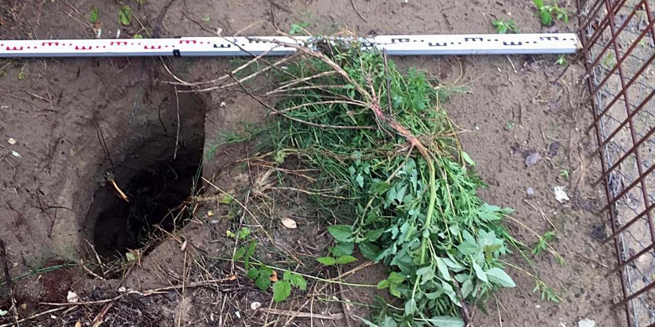 Újabb állítólagos alagutat találtak a határkerítés közelében