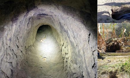 Egy nap – három, szerb területről induló alagút