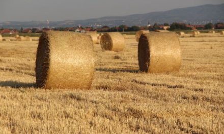 Milyen állapotok uralkodnak a szerbiai mezőgazdaságban?