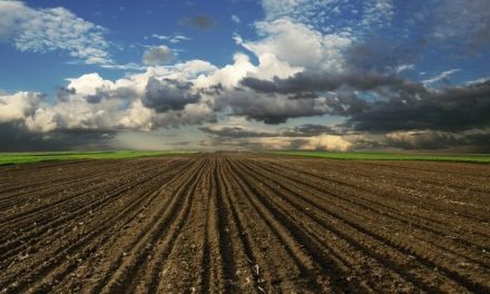 Кrkobabić: 50 hektár föld a fiatal gazdáknak