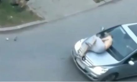 Újvidék: Előállítottak egy autókra ugráló, utcán vizelő részeg fiatalt (Videó)