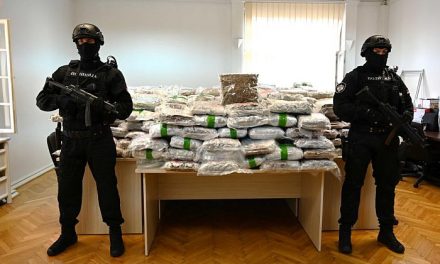 Több mint fél tonna kábítószert foglaltak le a rendőrök Aranđelovacon