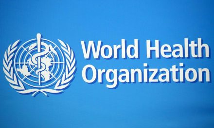 Egészségügyi vészhelyzetet hirdetett a WHO a majomhimlő miatt