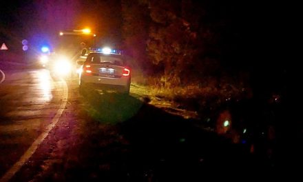 Apatin közelében meghalt egy 18 éves sofőr