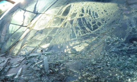 Újvidék: Kiskorú delikvensek kövekkel dobálták a sugárúton közlekedő járműveket