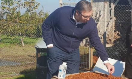 Vučić Észak-Bácskában: Imádom a töpörtyűt, Szerbia a legszebb ország!