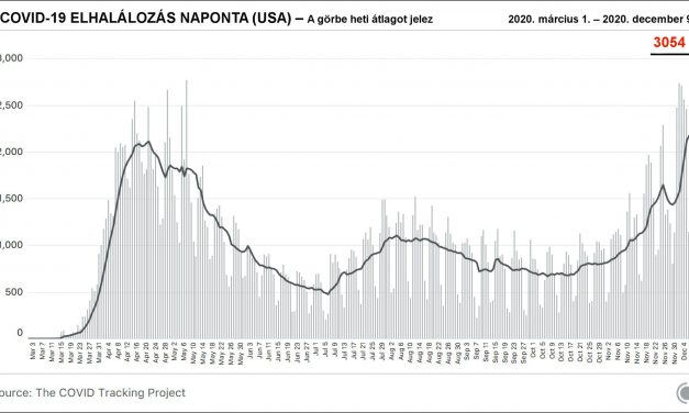 <span class="entry-title-primary">Amerika leghalálosabb napja</span> <span class="entry-subtitle">Arat a COVID-19: Soha sehol nem halt meg ennyi fertőzött egyetlen nap alatt</span>