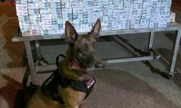 Néró, a vámosok kutyája ismét nagy mennyiségű cigarettát talált Kelebiánál