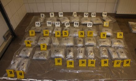 Tizennégy kiló marihuánát találtak Röszkén (fotók)