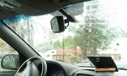 Nagybecskerek: 13 autó szélvédőjét törték be az éjszaka során