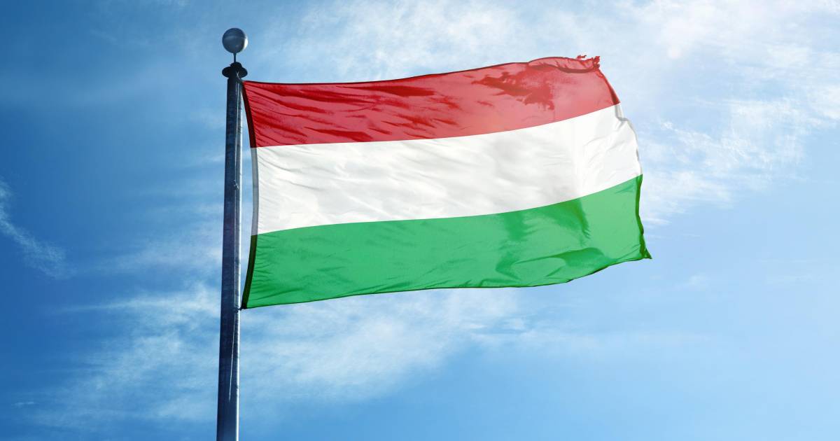 Ismét megbírságolták Sepsiszentgyörgy polgármesterét a kitűzött magyar zászlók miatt