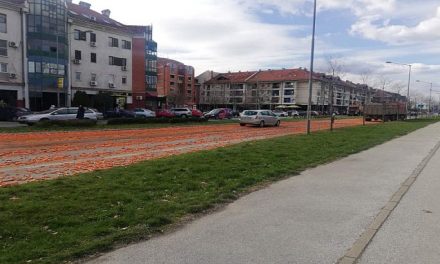 Rengeteg sárgarépa szóródott ki az újvidéki Knez Miloš sugárúton (Fotó)
