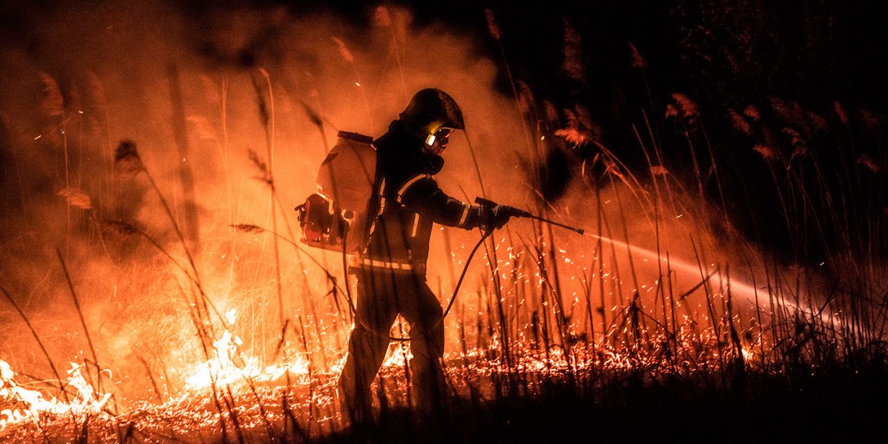 Tűz ütött ki a kelebiai erdőben