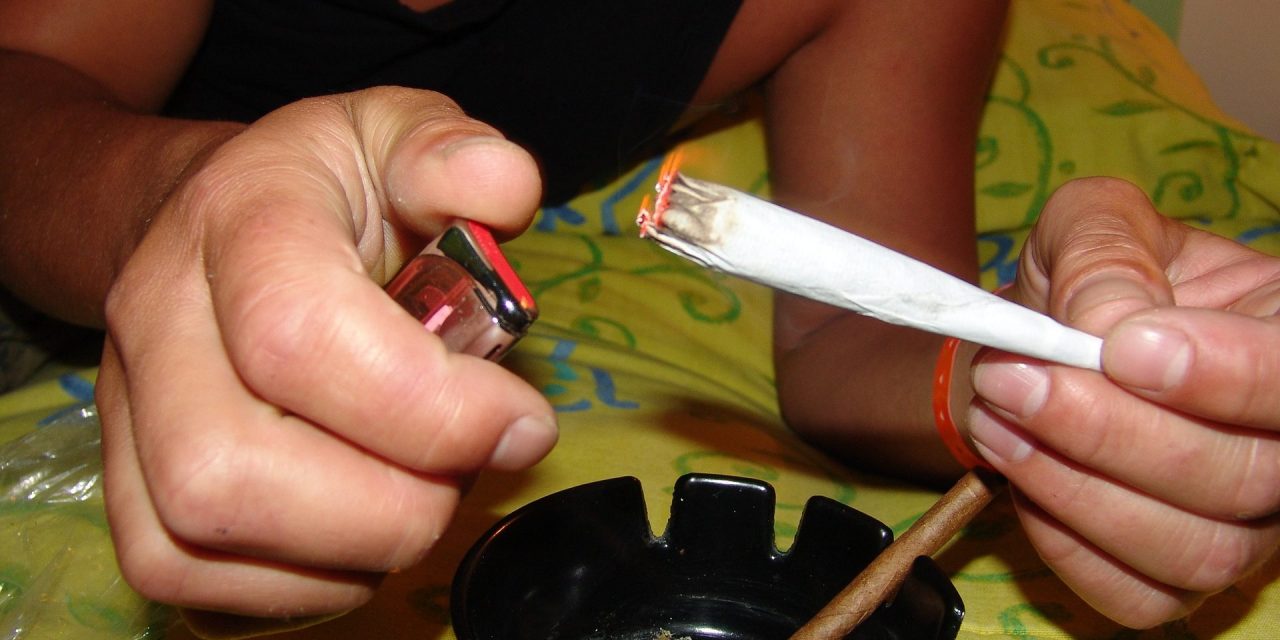 Lončar: Szerbia azon dolgozik, hogy levegye a marihuánát a kábítószerek listájáról