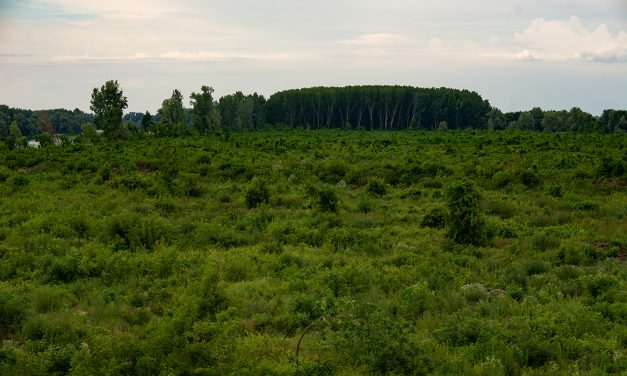 Rendőrség: Nem a migránsok lövöldöztek, hanem a rendőrök gyakorlatoztak