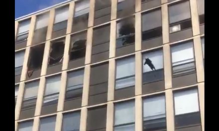 Öt emeletnyi magasból ugrott ki egy lakástűzből menekülő macska (Videó)