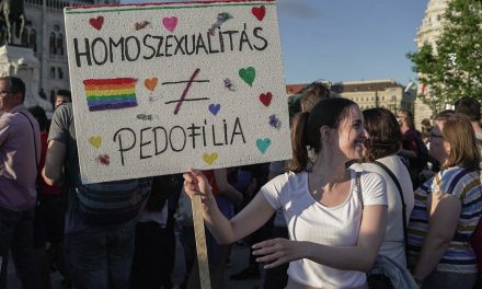 13 uniós ország ítélte el Magyarországot a homofób törvény miatt