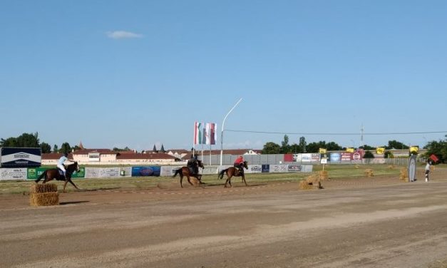 Királyhalom nyerte a Vajdasági Vágtát