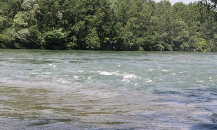 Egy migráns holttestét emelték ki a folyóból