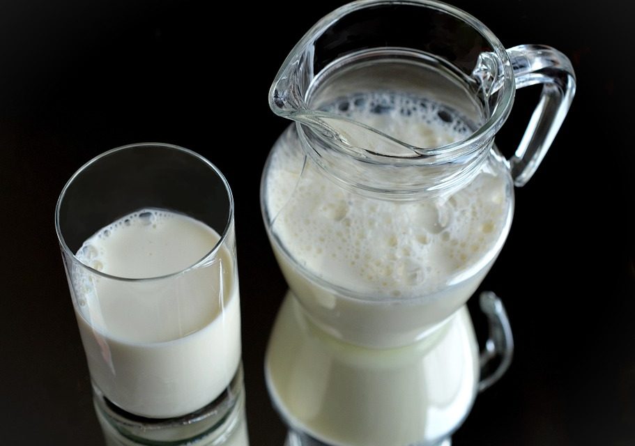 Marad az emelt aflatoxin-szint a tejben
