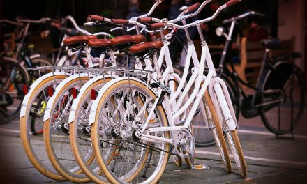Nagybecskerek a polgárok részére is kiírta a biciklivásárlási pályázatot