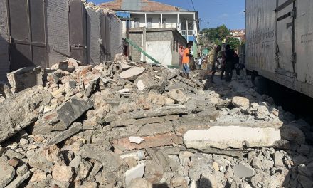 Háromszáz fölé emelkedett a haiti földrengés áldozatainak száma