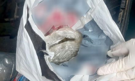 Egy kiló kábítószert foglalt le a rendőrség egy temerini nőnél