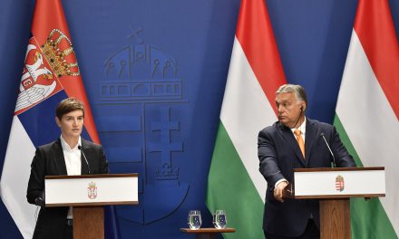 Brnabić: Rendkívül sikeres az együttműködés Magyarországgal