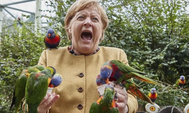 Papagáj „támadta meg” Angela Merkelt