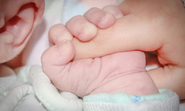 A csütörtökön született újvidéki kisbabák 300 ezer dinárt kapnak a várostól