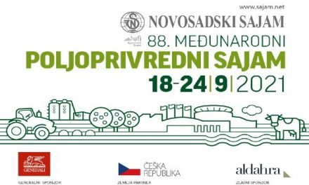 Több mint 500 magyarországi vállalkozás van jelen Szerbiában