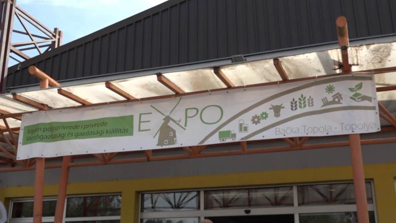 Pénteken nyílik az Expo Topolyán