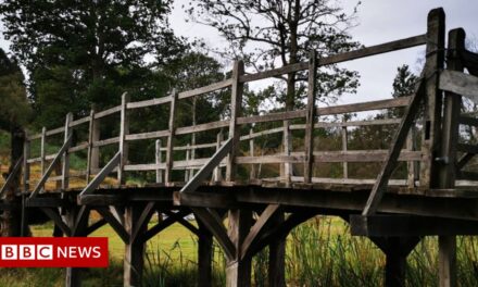 Több mint 131 ezer fontért kelt el Micimackó ikonikus hídja