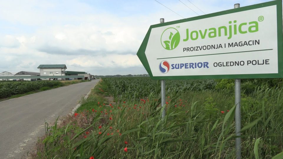KRIK: Vučić tudta, hogy a Jovanjica-birtokon marihuánát termesztenek