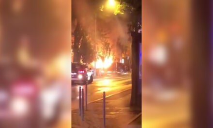 Kiégett két autó Újvidéken, kiderült ki a tulajdonos (Videó)