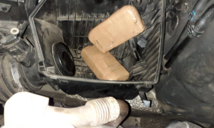 Hat kiló heroint találtak a szerb határrendőrök egy Audiban (Fotók)