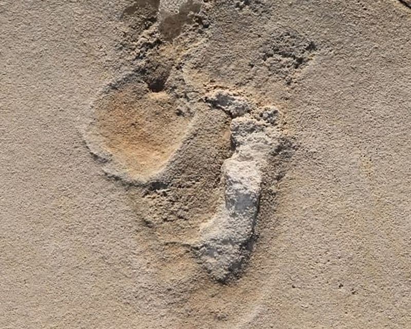 Hatmillió éves lábnyomokat találtak Krétán
