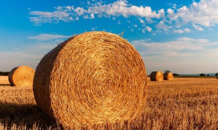 Eurómilliárdok kellenek a szerb mezőgazdaság talpra állítására